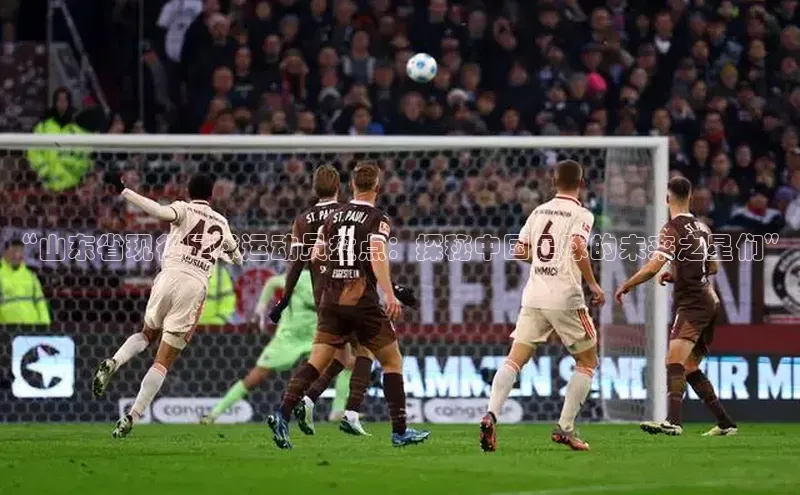 球友会官网登录入口普信公司“山东省现役足球运动员盘点：探秘中国足球的未来之星们”