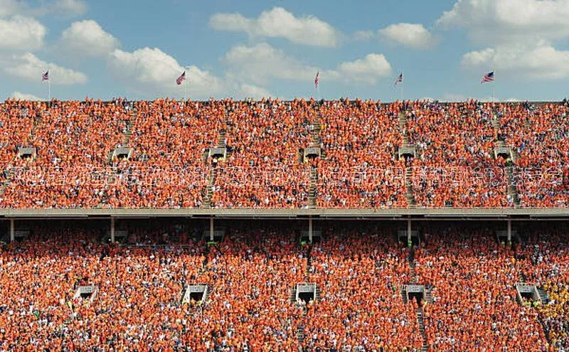 QY千亿球友会元隆雅图职业足球运动员的球鞋护理指南：如何有效保养和延长球鞋寿命
