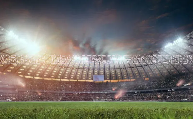 千亿球会网页挪威主权基金燃动激情：顶级体育赛事背后的故事与挑战