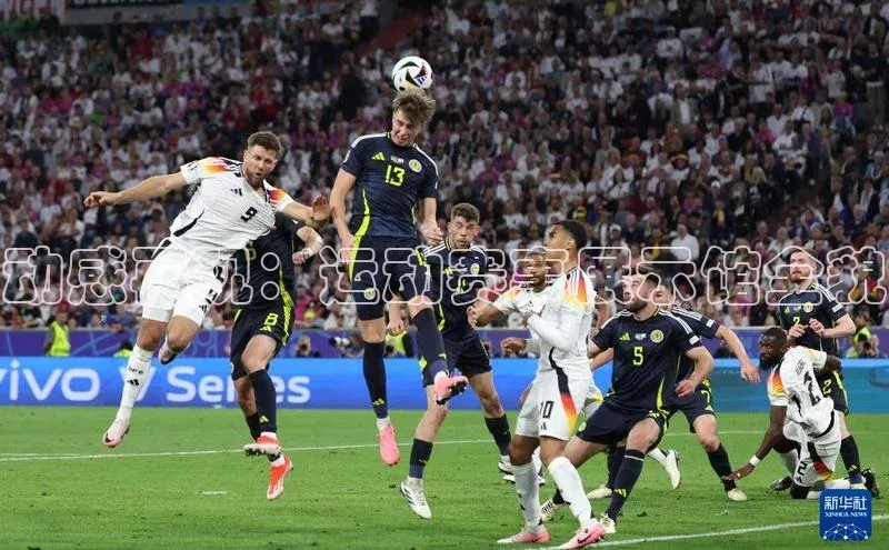 动感再现：运动赛事展示馆全貌