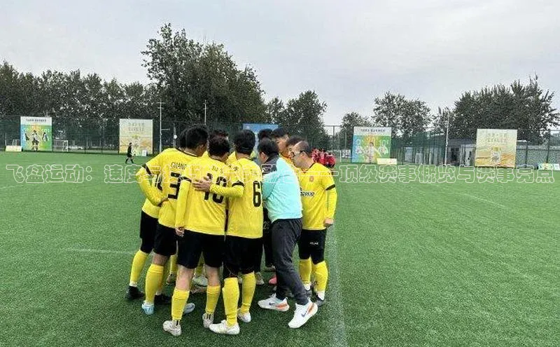 飞盘运动：速度与技巧的完美融合——顶级赛事概览与赛事亮点