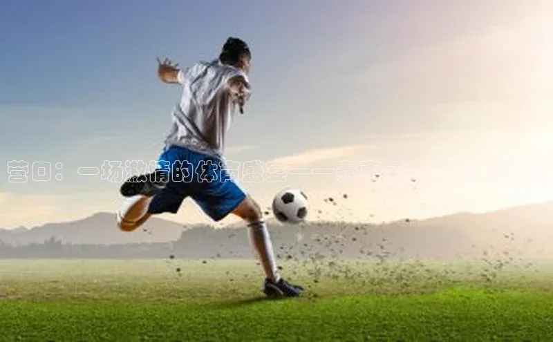 营口：一场激情的体育盛宴——赛事承办概览与展望