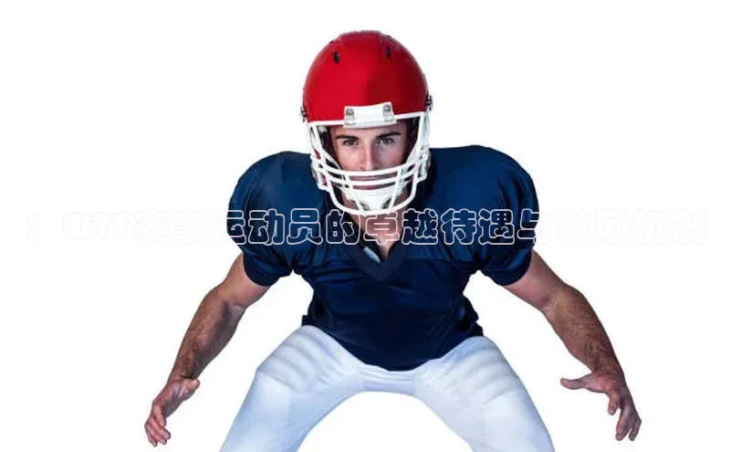 ：WTT赛事运动员的卓越待遇与激励机制