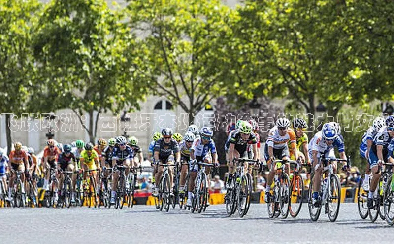 飞跃欧洲：西班牙本地运动赛事的魅力与文化