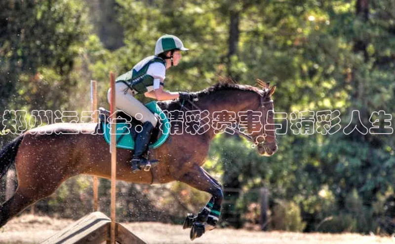 郑州运动会：精彩赛事与精彩人生