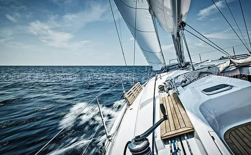 本年度重要体育盛事：从足球到篮球，全面各大赛事亮点与竞争焦点