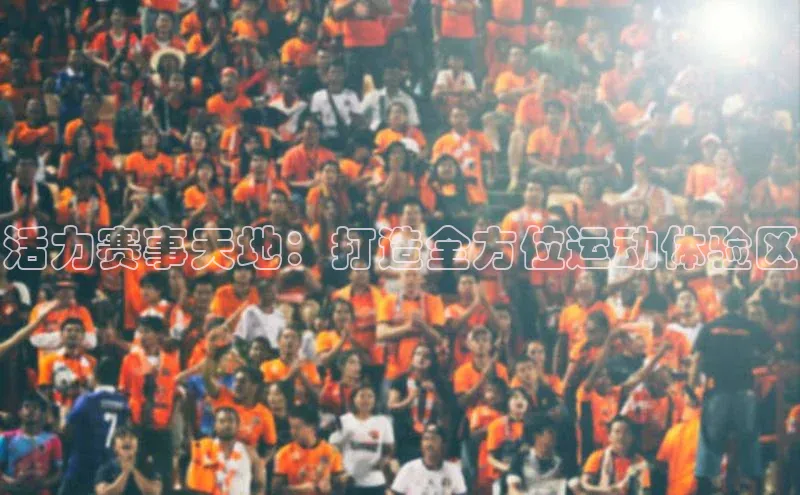 活力赛事天地：打造全方位运动体验区