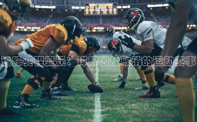 追踪赛程变迁：详解因故取消的运动赛事