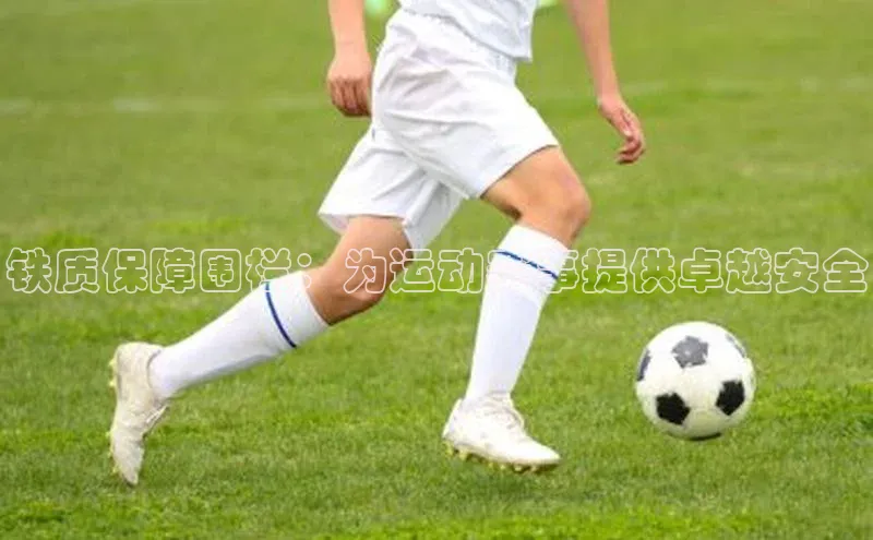 铁质保障围栏：为运动赛事提供卓越安全