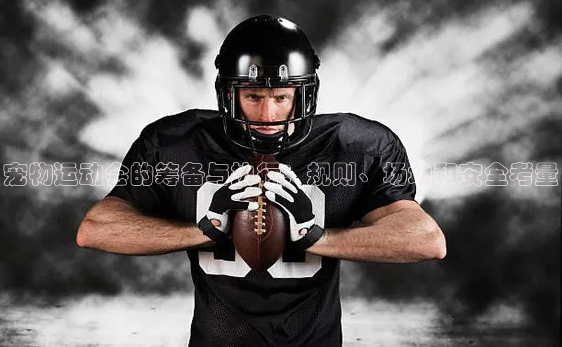 qy球友会体育官网