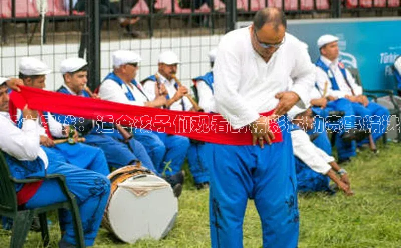 活力星球：适合孩子们观看的精彩运动赛事精选