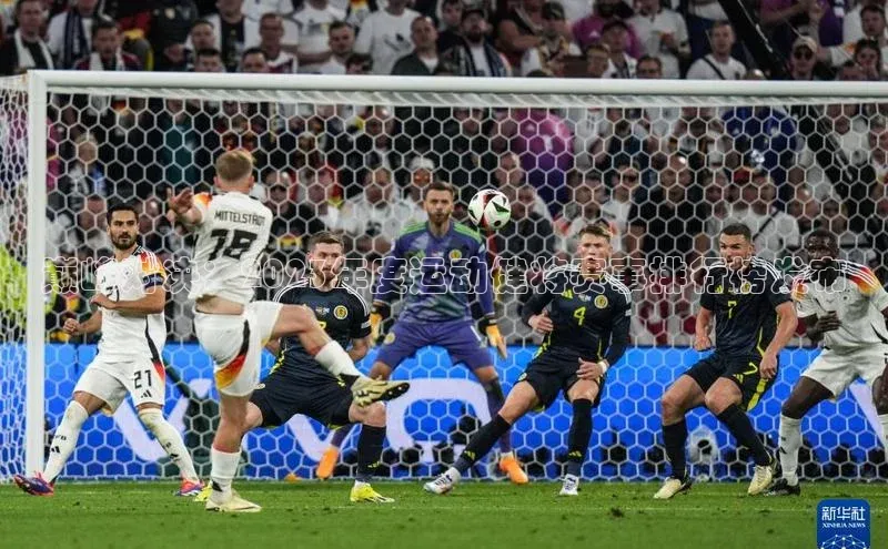 巅峰对决：2023年度运动健将赛事排行榜发布