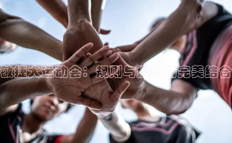 千亿qy88国际官网入口
